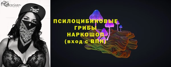 соль курить ск Новозыбков