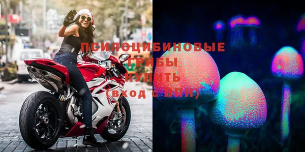 спиды Новокубанск