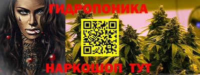 spice Кингисепп