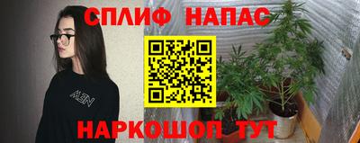 ГАЛЛЮЦИНОГЕННЫЕ ГРИБЫ Волжский