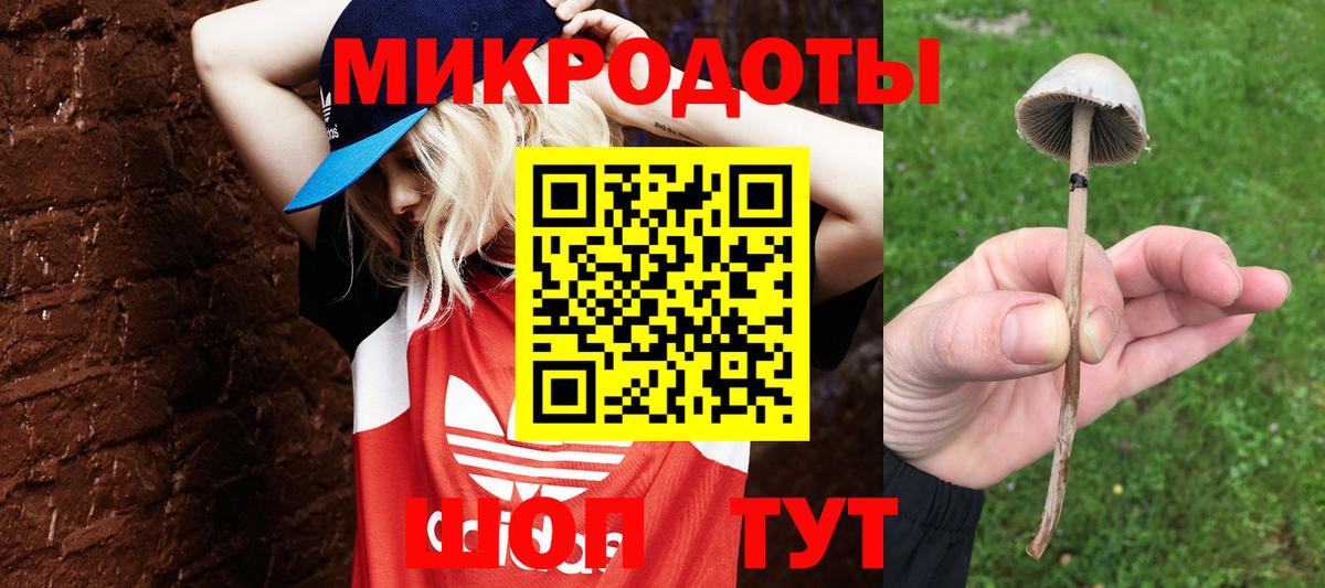 Новоалтайск  Галлюциногенные грибы MAGIC MUSHROOMS  Псилоцибиновые грибы мухоморы  Вход с VPN 